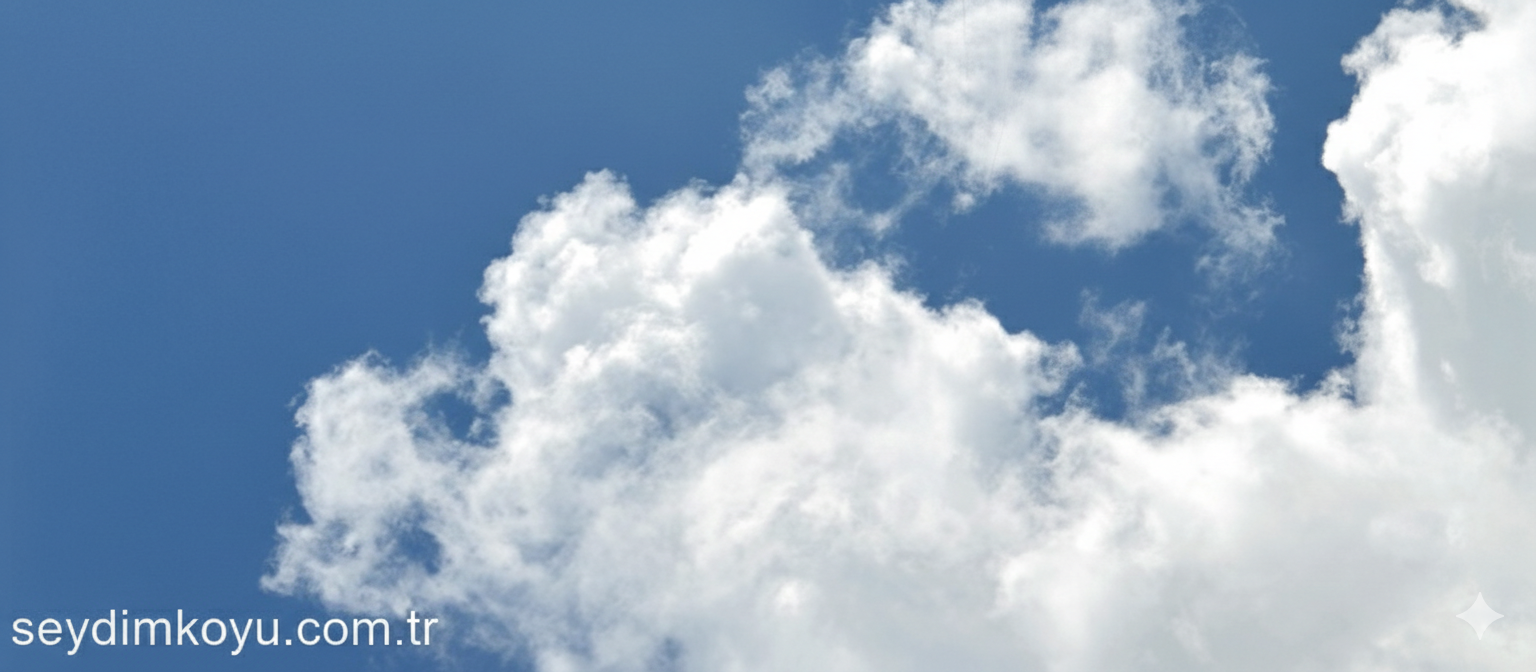 Çorum'a Özgü Yemekler