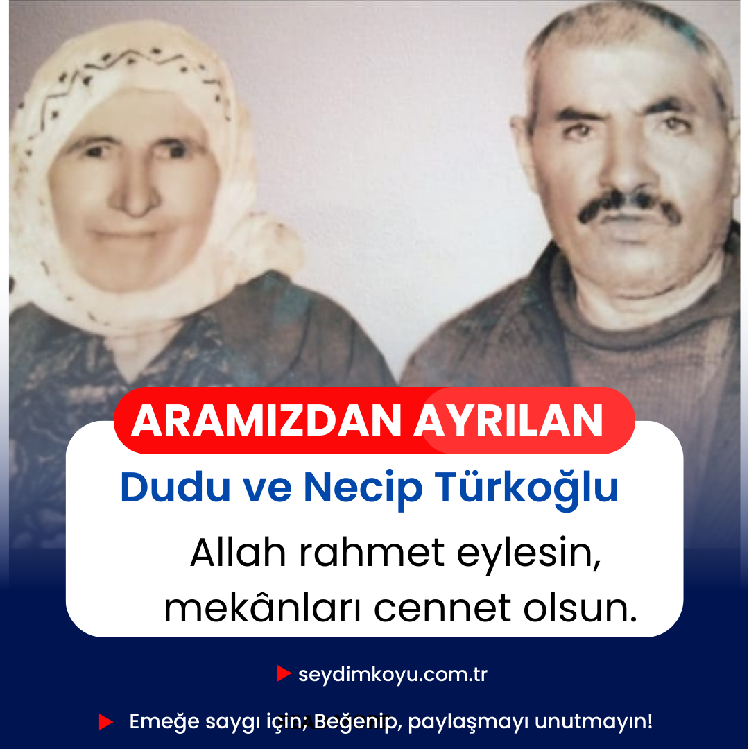Kaybettiklerimiz Albümü 